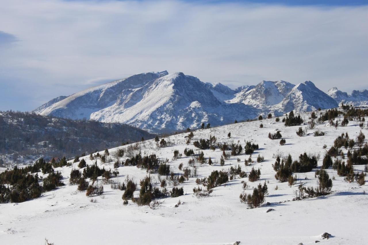 Шале Chalet Mountain Relaxation Жабляк
