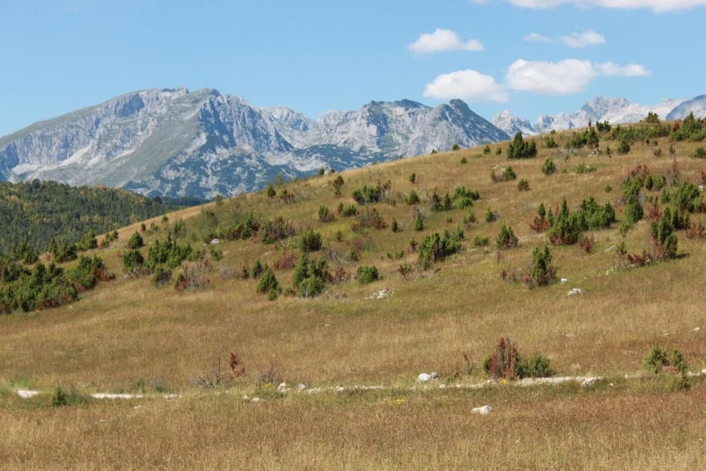 Шале Chalet Mountain Relaxation Жабляк